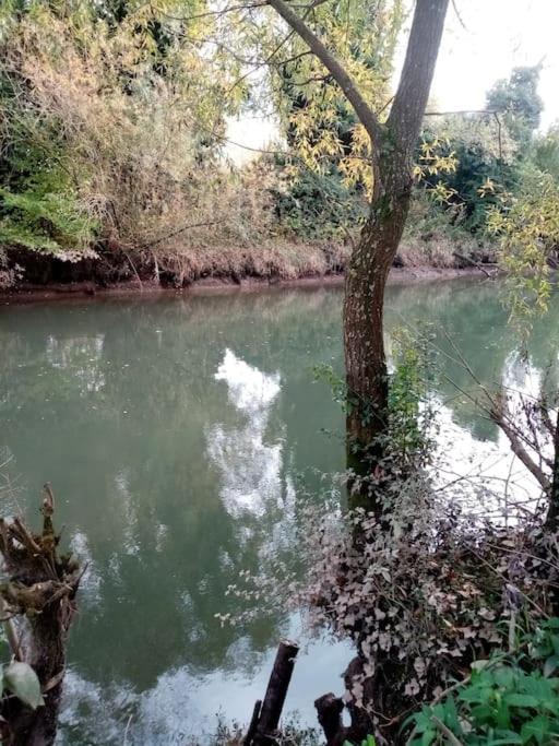 Le Mangoustan Kreol Opale Villa Attin Buitenkant foto